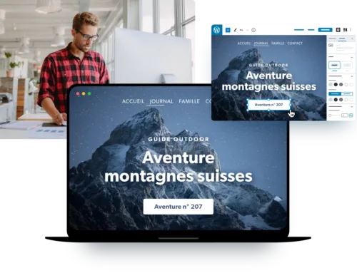 Site Web WordPress & Malware
